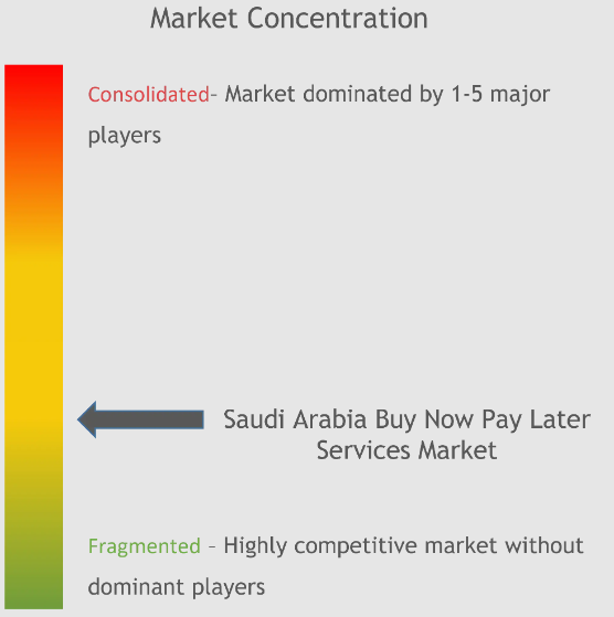 Saudi Arabia Buy Now Pay Later Services Market Concentration
